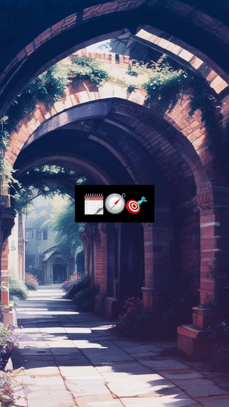 FULL PREMIUM CONSULTATION WITH GUIDANCE (up to 3 sessions, 2 hour calls)