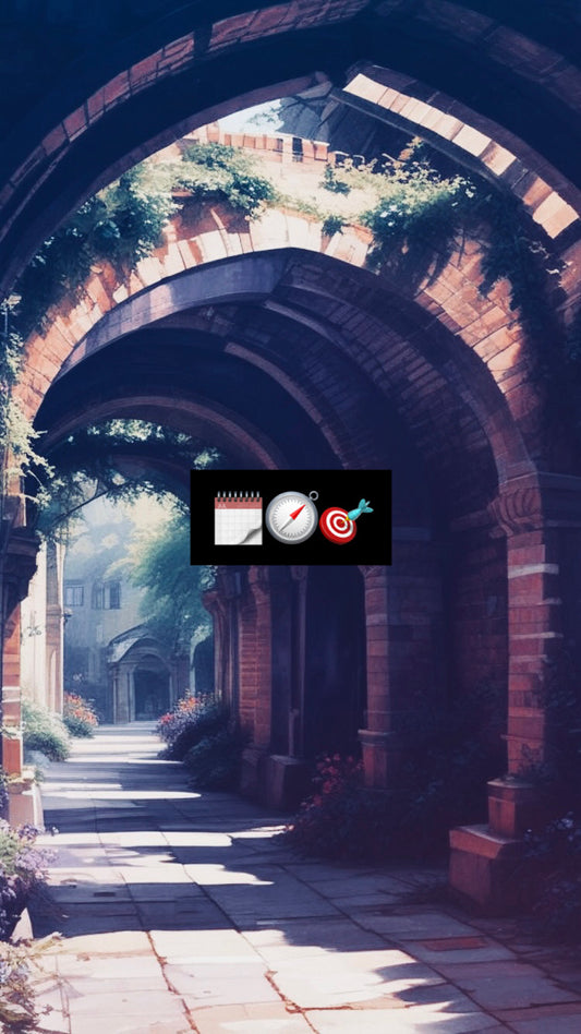 FULL PREMIUM CONSULTATION WITH GUIDANCE (up to 3 sessions, 2 hour calls)